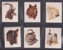 Cigarette cards, Wills Australia, 2 sets & 1 near set, Wild Animals (set L25 cards some with brown