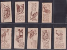 Trade cards, Barratt's, National History, 'Tarrab Brand Rock is the Best' backs, line drawings of