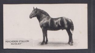 Cigarette card, Taddy, Famous Horses & Cattle, type card, no 25 Percheron Stallion, 'Avotcat' (