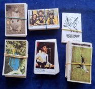 Trade cards, Dandy Gum, 5 part sets, Pop Stars Serie 'P' (50), Animals ('G' in front of number, 90),
