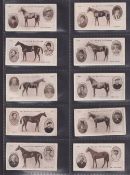 Cigarette cards, 44 cards from 3 series F & J Smith's Derby Winners (14), Gallaher Beauties no p/c