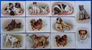 Postcards, Dogs, a collection of 11 chromos of dogs illustrated by Dorothy Travers Pope, inc. set of