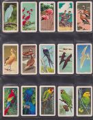 Trade cards, Brooke Bond USA, Tropical Birds (set 48 cards) (couple cards with slight marks, gen