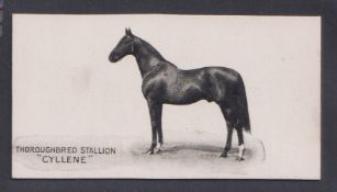 Cigarette card, Taddy, Famous Horses & Cattle, type card, no 11 Thoroughbred Stallion 'Cyllene' (vg)