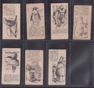 Trade cards, Barratt's, National History, 'Tarrab Brand Rock is the Best' backs, line drawings of