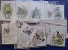 Trade cards, Singer Sewing Machines, Birds, American Singer series, approx. 50 cards (larger than '