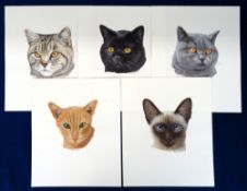Artwork, Melanie Phillips, 5 signed original paintings of cats (approx. size 12 x 10