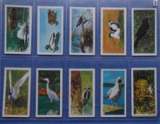 Trade cards, Brooke Bond, British Birds, complete set 20 cards (vg)