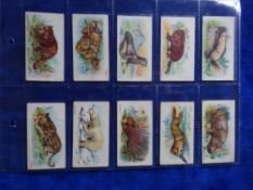 Cigarette cards, Wills Wild Animals of the World, green scroll backs, set 50 cards (fair/gd)