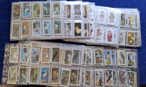 Trade cards, Brooke Bond, Over 500 better cards in plastic sleeves including British Birds, Bird