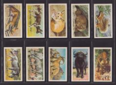 Trade cards, Brooke Bond Rhodesia, African Wildlife, Green backs (set 50 cards) (vg)