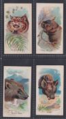 Cigarette cards, USA, Goodwin's, Wild Animals of the World (Old Judge Cigarettes back), four