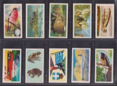 Trade cards, Musgrave Brothers Ltd, a collection of 13 type cards inc. British Birds, British Wild