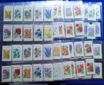 Tobacco silks, Kensitas Silk Flowers 1st, standard sized, Plain back (set 60 cards plus 8