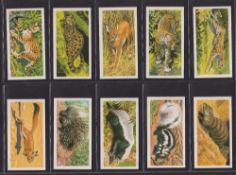 Trade cards, Brooke Bond (South Africa issue), African Wild Life / Wild Van Africa (set 50 cards) (
