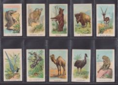 Cigarette cards, Wills (Overseas), Animals & Birds (With Series Title) (set, 50 cards) (some with