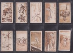 Trade cards, Australia, MacRobertson's, Sports of the World, (21/50) (gen gd)