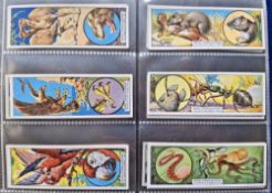 Trade cards, Typhoo Tea, 10 sets in modern album, Animal Offence & Defence, British Birds & Eggs,