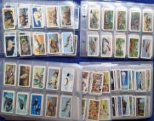 Trade cards, Brooke Bond Canada, 17 sets, Animals of North America (both 'Roland' and 'Rolland'