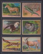 Trade cards, Canada, The Harry Horne Co, Animals & Birds, 'L' size (69/70, missing Addax) (gen.