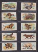 Cigarette cards, Wills (Australia), Wild Animals of the World (set, 50 cards) (gd)