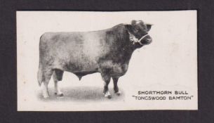 Cigarette card, Taddy, Famous Horses & Cattle, type card, no 17 Shorthorn Bull, 'Tongswood