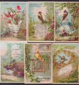 Trade cards, Liebig, two sets, Birds III (Small), ref. S63 and Birds VI (Large), ref. S64 (6 cards
