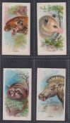 Cigarette cards, USA, Goodwin's, Wild Animals of the World (Old Judge Cigarettes back), four