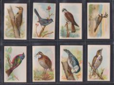 Trade cards, USA, Church & Dwight, 3 sets all M size, Useful Birds of America 3rd Series (30 cards),