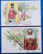Postcards, Adverts, Vegetable Grains for Constipation, Cingalais & Princess Kantyane Ceylon (Sri