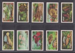 Cigarette cards, Gallaher, Aquarium a scarce set of 48 cards, apparently unrecorded. Backs are in