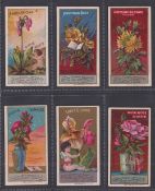 Cigarette cards, USA, Lone Jack Cigarette Co, Language of Flowers, six cards, American Cowslip,