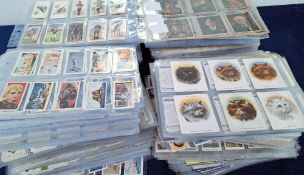 Cigarette & trade cards, large collection in plastic sleeves, mostly part sets and odds, over 550