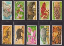Trade cards, Brooke Bond, Incredible Creatures (green back Irish issue) (set 40 cards) (vg/ex)