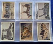 Trade cards, Canada, Neilsons, New York Zoological Park Animals 117/120 (6 subsets of 20 cards,