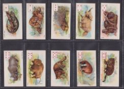 Cigarette cards, Wills, Wild Animals of the World (P/C inset) (set, 52 cards) (gd/vg)