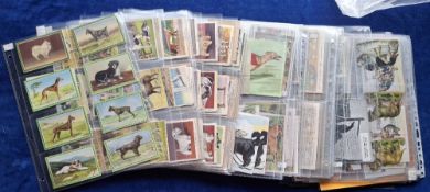 Trade cards, approx. 500 cards, mainly Continental, all Dogs related including Chlorodont, Biscottes