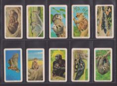 Trade cards, Brooke Bond (Canada), Animals & Their Young (Tea/Coffee) A15 (set 48 cards) (a few with