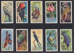 Trade cards, Brooke Bond, Rhodesia issue, Tropical Birds (set 50 cards) red backs (vg a few gd)