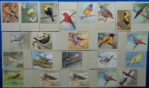 Postcards, Birds, a comprehensive collection of approx. 120 cards of UK, European and other birds,