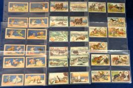 Trade cards, Suchard, two sets & one part set, Constellations (set, 12 cards, vg), Fauna of the