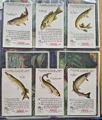 Trade cards, over 400 cards mainly Continental, all Fish / Sea themed. Including Coca Cola World