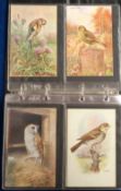 Postcards, Birds, a selection, in modern album, of approx. 84 cards, the majority illustrated