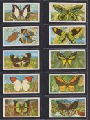 Trade cards, Brooke Bond Rhodesia issue, Butterflies of the World (set 50 cards) red backs (vg)