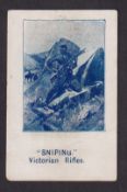 Cigarette card, Sarony, Boer War Scenes, type card 'Sniping, Victorian Rifles' slight trim, 60mm x