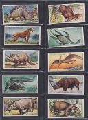 Cigarette cards, two sets, Edwards Ringer & Bigg Prehistoric Animals (vg) & Ogden's Whaling (about