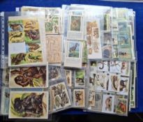 Trade cards, approx. 300 cards, many Continental, all Natural History related including De
