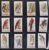 Cigarette cards, Netherlands, Herms Oldenkott & Zoonen, K size Bird series in colour; large
