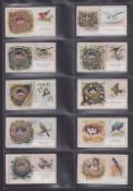 Cigarette cards, Godfrey Phillips Eggs Nests & Birds, numbered (set 30 cards) (gen gd)