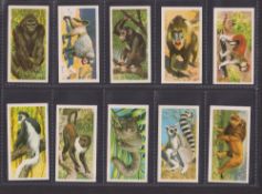 Trade cards, Brooke Bond (South Africa), African Wild Life (Bilingual) (set, 50 cards) (1 with
